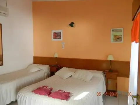 Zorzal e/ Los Tordos y El Hornero