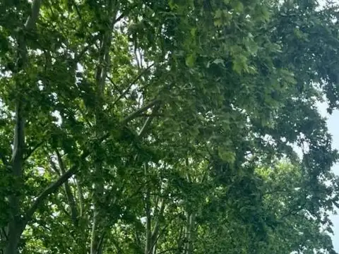 Quinta en Venta en Estancia Las Malvinas, USD 45.700