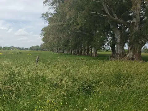RP 40 km 70