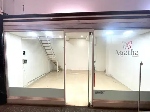 Peatonal San Martín 2300