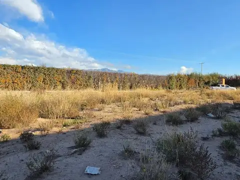 Terreno en Venta en Vistalba, USD 39.500