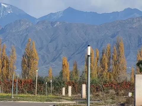 Terreno en Venta en Vistalba, USD 39.500
