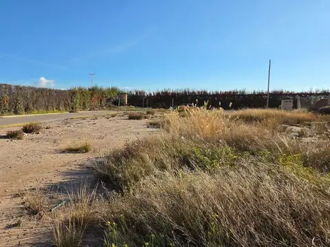 Terreno en Venta de 653,0 m2