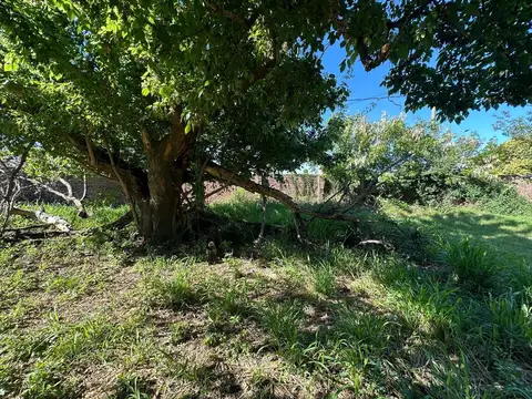 Terreno baldío en venta en Santa Ana  IDEAL PARA EMPRENDIMIENTO