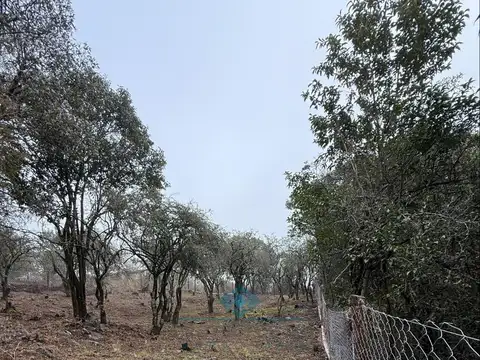 LOTE 560 M2 - VILLA ANIMI - LA GRANJA