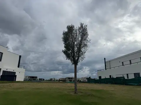 Terreno en Venta de 700,0 m2