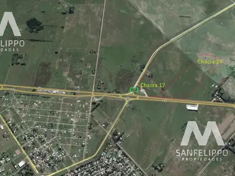 Campo - Chacra 24 - Venta - Chascomús