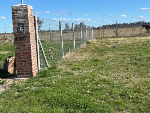 Terreno - Venta - , Carlos Spegazzini