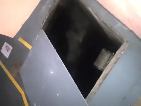 Sgto. Rosas Castillo al 2300