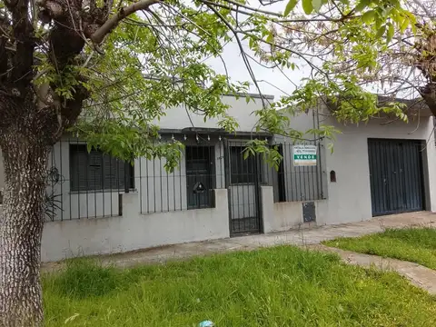 Colon 1000