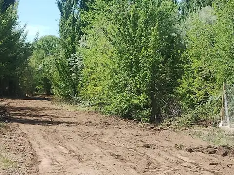Terreno en Venta 50  mts Frente