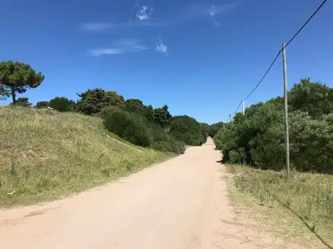 Punta del Indio e/31 y 32