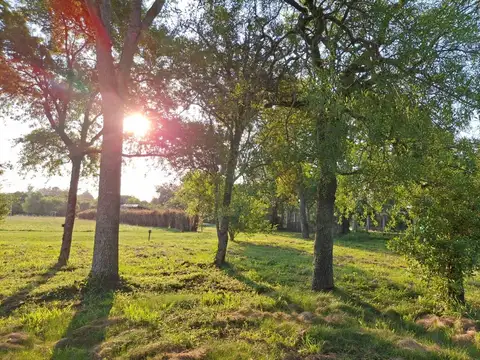 Terreno en Venta en Riachuelo, USD 33.000