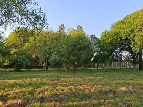 Terreno en Venta en Riachuelo, USD 33.000