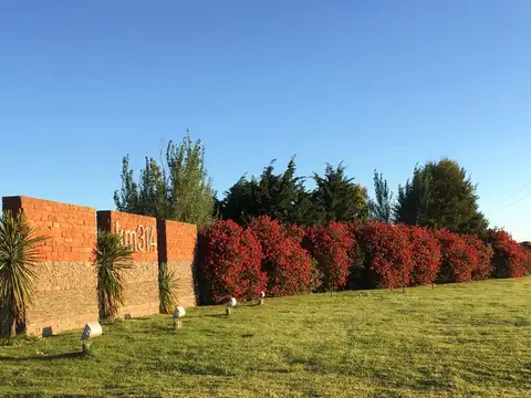 KM 314 - Casas De Mar