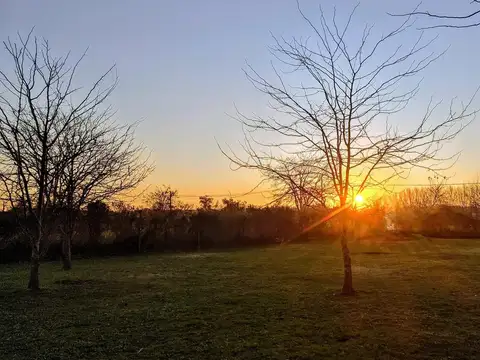 Terreno en Venta 22  mts Frente