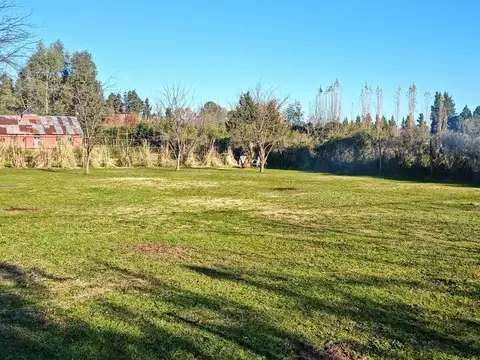Terreno en Venta 42  mts Fondo