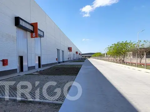 Galpon en Alquiler 25  mts Fondo