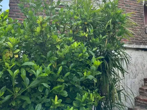 marcos sastre 3200, Piso 0