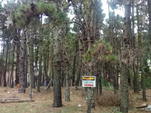 Venta de lotes en calle 37 Ambos de 475 m2