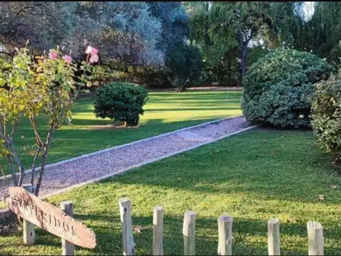 Arroyo y Ruta 143