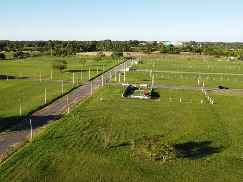 501y161 (SENDEROS) ABIERTO (F.18-L.4)