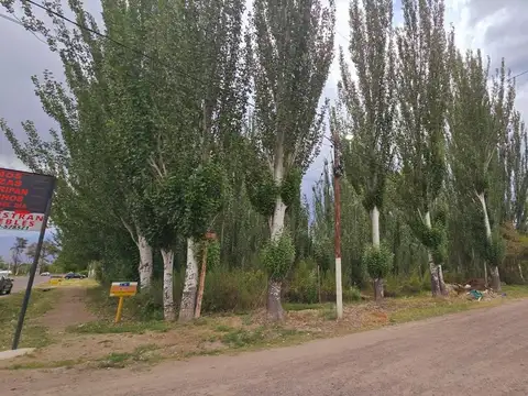 Terreno en Venta en Colonia las Rosas, USD 29.500