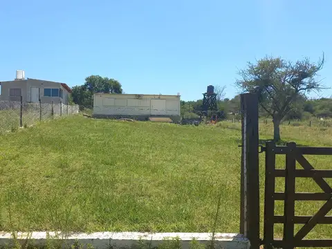 Yacanto 100