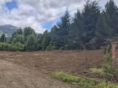 (028) LAGO PUELO-Radal  sobre ruta ingreso alternativo-LOTE en condominio de 1.000m2
