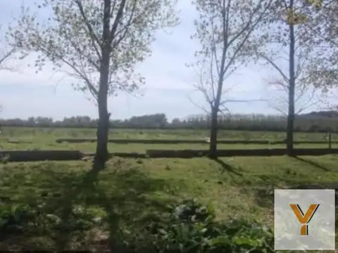 Campo en Venta en Dolores, Partido de Dolores