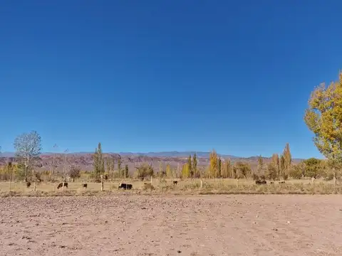 Terreno en Venta de 11231,0 m2
