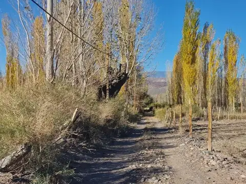 Terreno en Venta en Barreal, USD 22.000