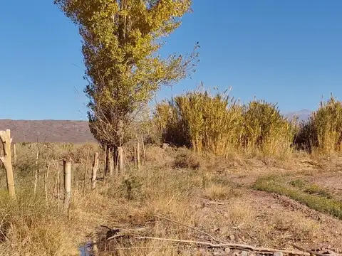 Terreno en Venta de 11231,0 m2