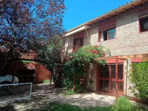 Luzuriaga 500