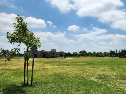 Lote de 806 m2 en venta - Aires de Pergamino - RN188 KM 76