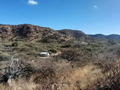 Pozo del Molle 200