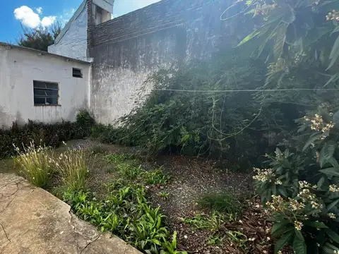 Gabriela Mistral 500