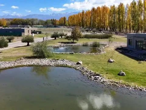 Vendemos lote en Tupungato Valley