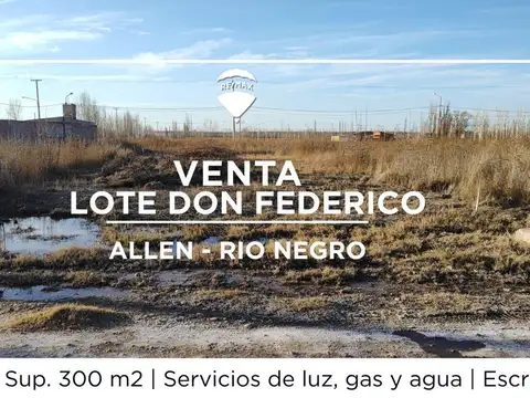 TERRENO VENTA ALLEN 