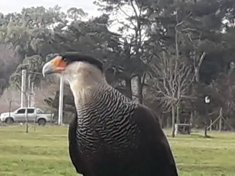 terreno A9 en San Sebastian MB