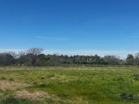 LOTE EN VENTA CON ESCRITURA LOS PINOS LAS ACACIAS