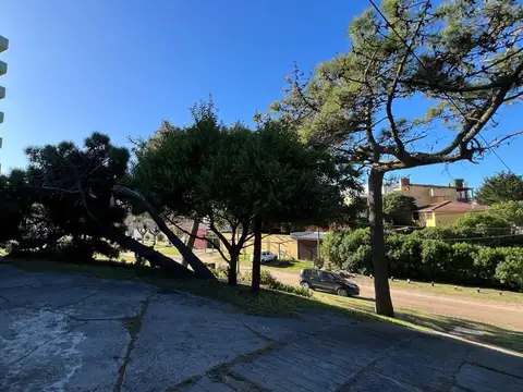 Paseo 118 e/ Avenida 1 y Avenida 2