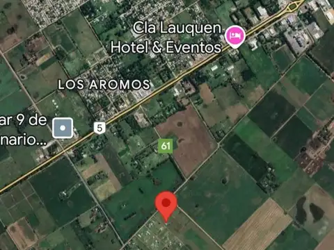 AZCUENAGA Y LOS MIMBRES