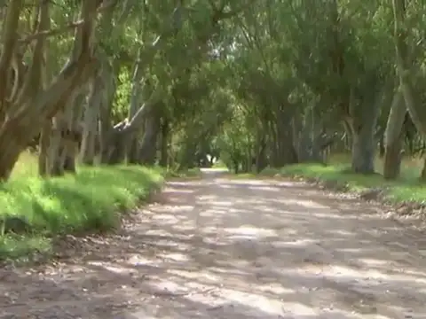 Terreno en Venta en Loberia, USD 26.000