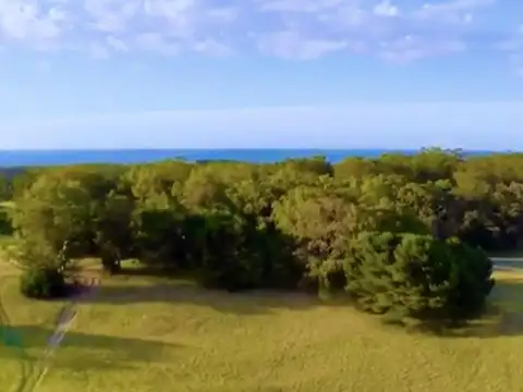 Terreno en Venta de 1300,0 m2