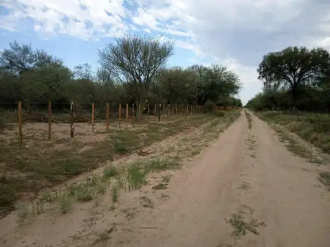 Balde de la Mora