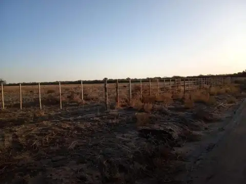 Balde de la Mora
