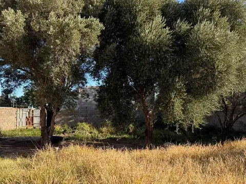 Terreno en Venta de 1567,0 m2