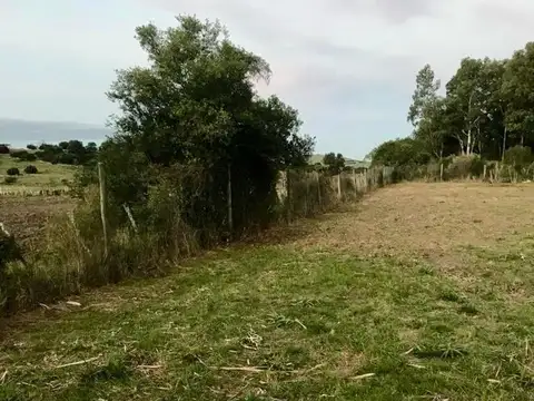 Las Torcazas esquina el Benteveo 100