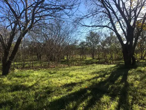 LOTE TERRENO EN VENTA EN VILLA ELISA  ENTRE CAMINO